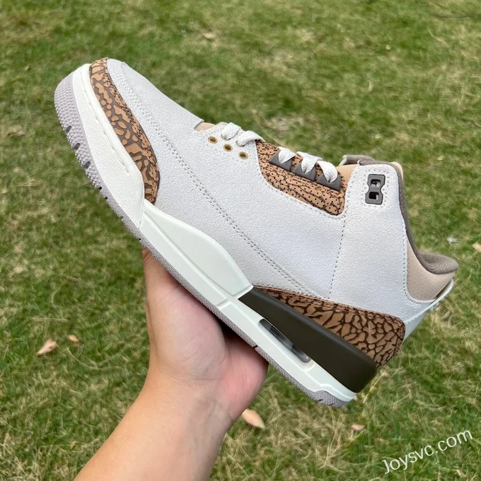 Air Jordan 3 Palomino CT8532-102 White Brown