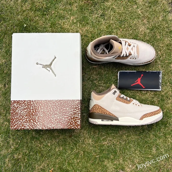 Air Jordan 3 Palomino CT8532-102 White Brown