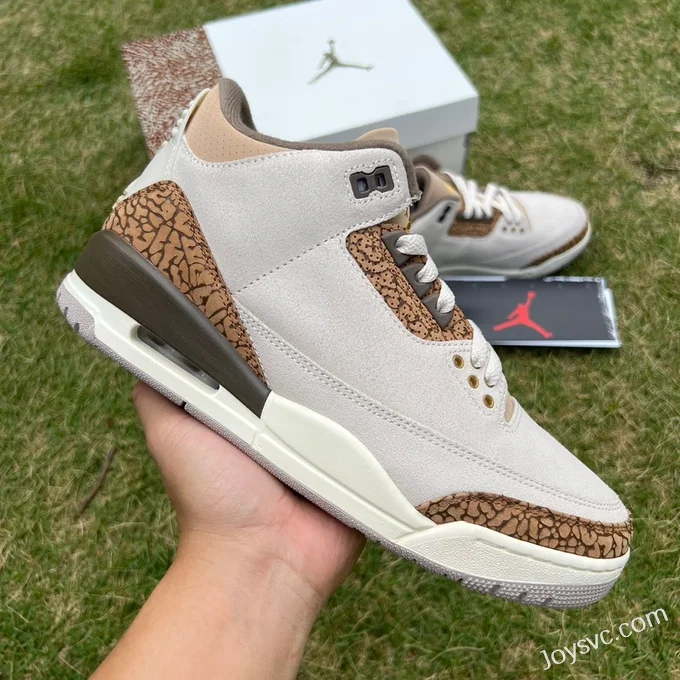 Air Jordan 3 Palomino CT8532-102 White Brown