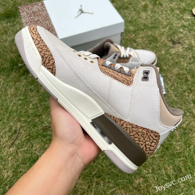 Air Jordan 3 Palomino CT8532-102 White Brown