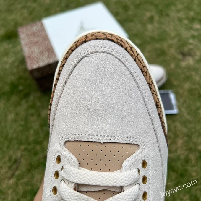 Air Jordan 3 Palomino CT8532-102 White Brown