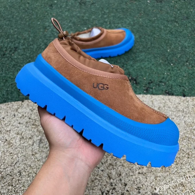 UGG Brown Blue Low Top Boots