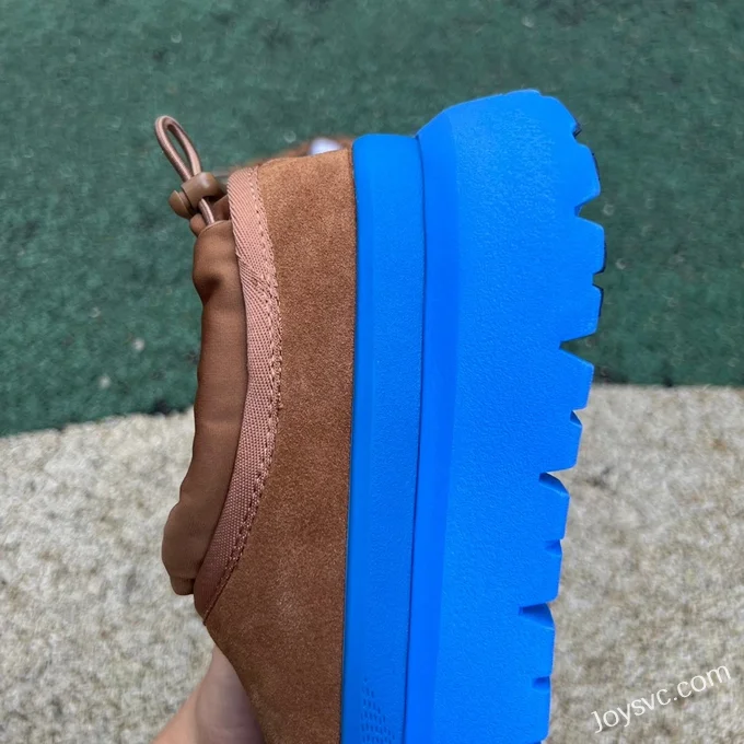 UGG Brown Blue Low Top Boots